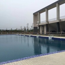 湛江游泳馆水处理设备l恒温泳池设备l钢结构游泳池