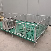 仔猪保育栏图片