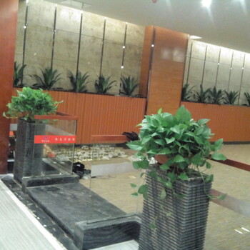 东莞东城办公室鲜花绿植养护-汇安室内花卉植物租摆