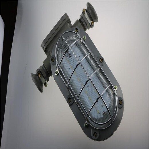 天津矿用隔爆型LED支架灯生产