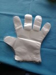 一次性使用聚乙烯检查手套，PE手套，薄膜手套