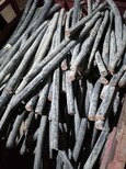 马鞍山紫铜板回收-废旧电缆回收每日详报图片2