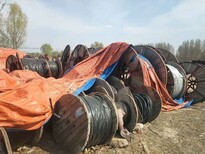 天津周边回收废铜废铝//天津周边回收废铜废铝联系电话图片3