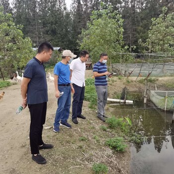 蚂蟥		蚂蟥养殖	水蛭	水蛭养殖	水蛭种苗		蚂蝗养水蛭赚钱吗