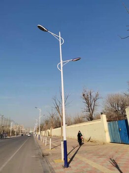 路灯景观灯厂-7米8米单双臂路灯太阳能灯-道路灯