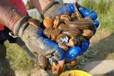 水蛭养殖高价回收技术免费