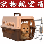 南京到上海宠物托运服务好图片4