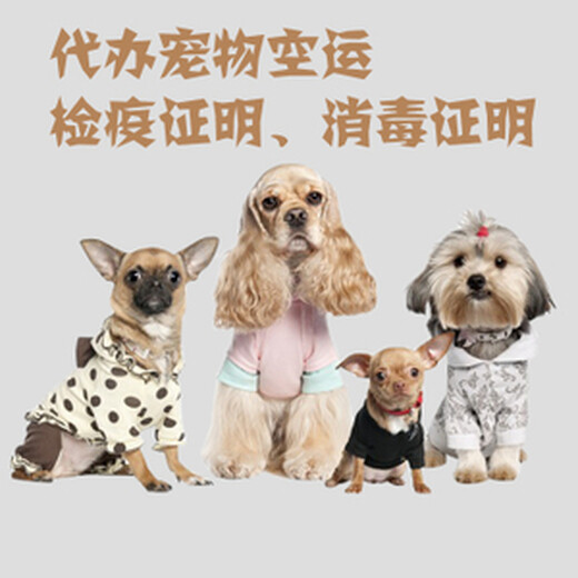 热线台州到上海宠物托运方便安全快捷