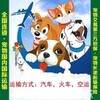 2021托运:杭州到青岛宠物托运上门取宠