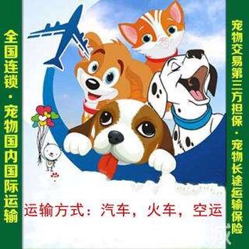 2021托运:温州到黄岛宠物托运宠物服务