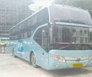 黄岛到绍兴的大巴客车线路天天发车安全准时发车图片