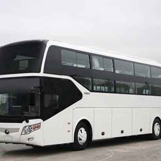 2023青岛到上海大巴客车线路