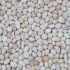 滁州雪花白鹅卵石3-5厘米水洗石供应价格