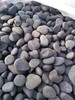 威海雪花白鹅卵石3-5厘米石米供应价格
