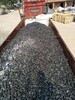 淮安雪花白鹅卵石3-5厘米洗米石质量标准