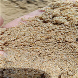 肇庆水处理水处理石英砂海砂（海砂）滤料品种/销售图片4