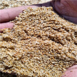 陇南水处理水洗海砂(海沙)石英砂（猛砂）滤料价格图片0