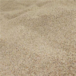 自贡水处理水洗海砂(海沙)石英砂（猛砂）滤料生产销售图片0