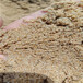 日喀则水处理水洗海砂(海沙)石英砂（猛砂）滤料厂家加盟商
