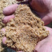 三门峡水处理水洗海砂(海沙)石英砂（猛砂）滤料品种/销售