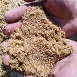 肇庆水处理水处理石英砂海砂（海砂）滤料品种/销售图片1