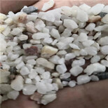 自贡水处理水洗海砂(海沙)石英砂（猛砂）滤料生产销售图片4