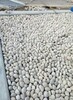 汉中化工厂鹅卵石/水处理鹅卵石滤料价格
