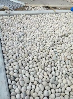 吐鲁番大型鹅卵石草坪点缀/鹅卵石滤料来电咨询
