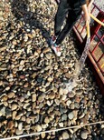 福州水处理鹅卵石/鹅卵石滤料价格图片1