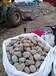 林芝天然鹅卵石/水处理鹅卵石滤料生产销售