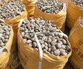深圳污水处理鹅卵石滤料/水处理鹅卵石滤料供应价格