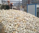 榆林变电站鹅卵石/鹅卵石滤料生产供应商图片