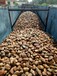 桂林净水处理鹅卵石垫层/变压器鹅卵石滤料生产供应商