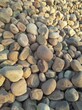 漳州水处理鹅卵石/水处理鹅卵石滤料批发图片