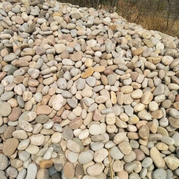扬州园林绿化鹅卵石/鹅卵石滤料供应价格