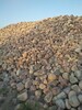 新疆園林綠化鵝卵石/鵝卵石濾料生產基地
