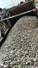 阿勒泰化工厂鹅卵石/变压器鹅卵石滤料一吨价格