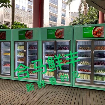 广州社区生鲜柜，智能果蔬机，无人售货机