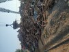 废旧农机回收废金属回收