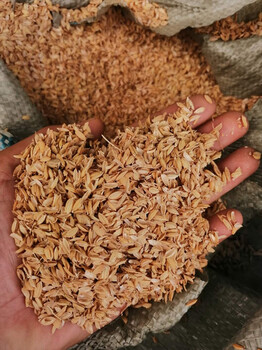 廠家大量供應飼料級稻殼粉除塵稻殼粉壓縮壓塊稻殼