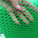 福州2米高塑料防護網現貨,塑料拉伸網