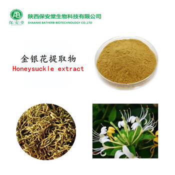 金银花提取物绿原酸5%HPLC金银花粉