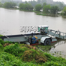 广东大型河道水面杂草垃圾打捞船水面除草保洁船
