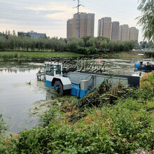 江苏大型河道水面杂草垃圾打捞设备清理船