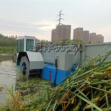 自动化水浮莲打捞机水草垃圾打捞船一人可操作割草船