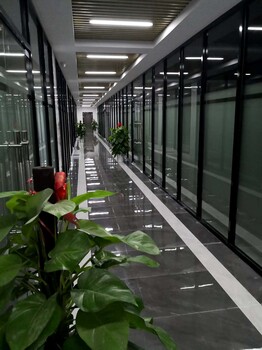 廣州代加工洗發(fā)水沐浴露洗衣液廠家