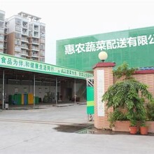 厦门市集美区蔬菜配送市场服务图片