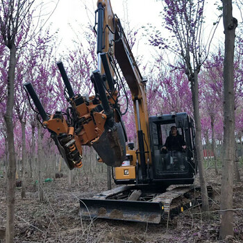 常青挖树机80公分土球移树机一分钟一棵树