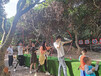 深圳龙岗周边有特色户外团建的农家乐推荐田中园生态园