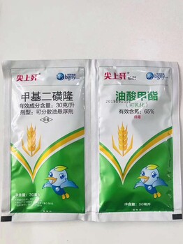 節(jié)節(jié)麥特殺，11月中旬甲基二磺隆針對節(jié)節(jié)麥年前用